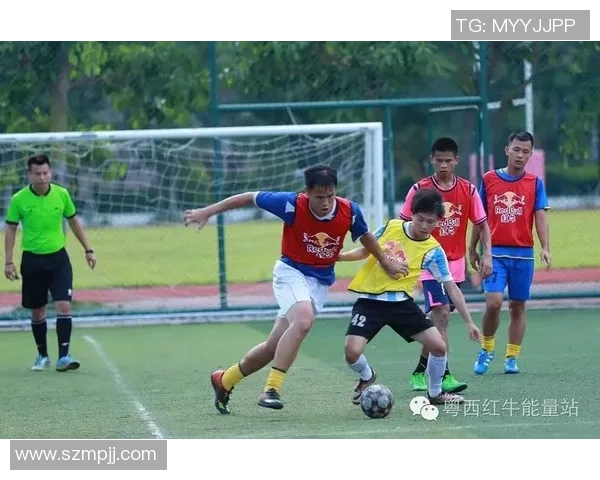 南京篮球队耐力变革引发热议球迷期待新赛季表现提升